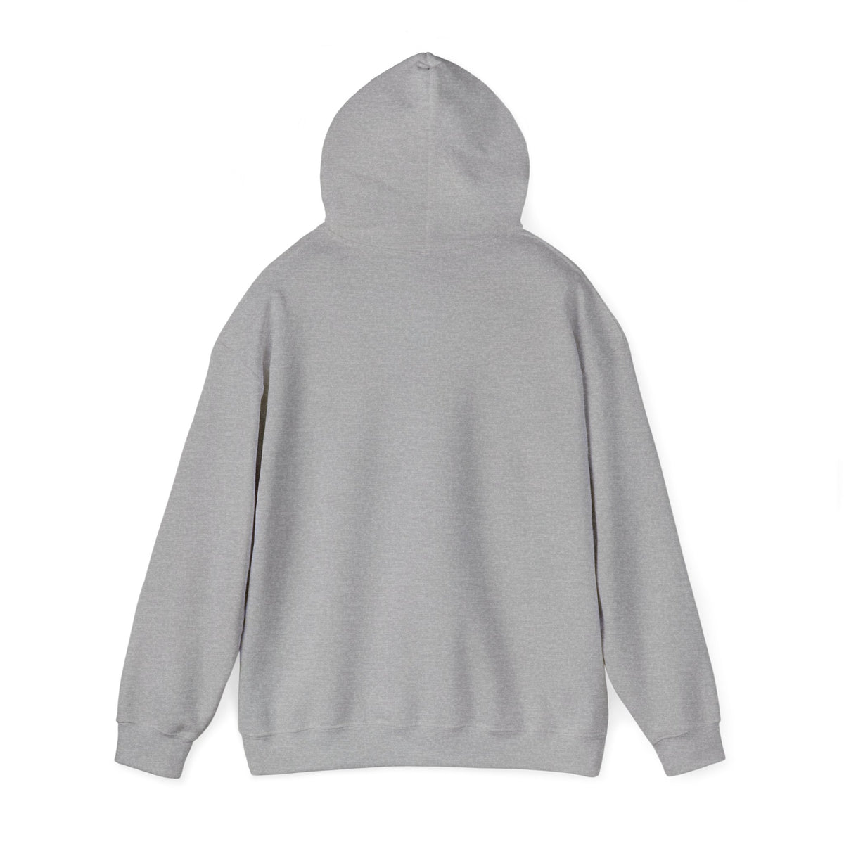 Caution: May Stop Mid-Conversation for Birds Hoodie — Funny Birding Road Sign Pullover