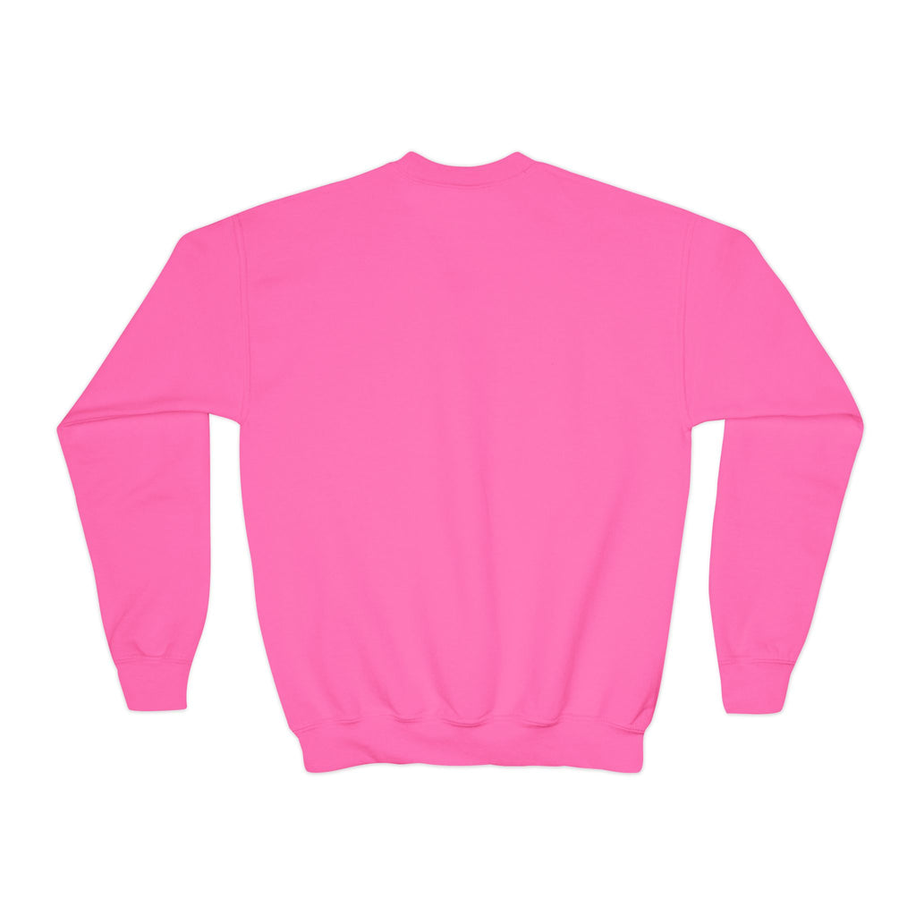 Youth Sweatshirt — "I Pause Conversations for Birds" Cute Cardinal Crewneck