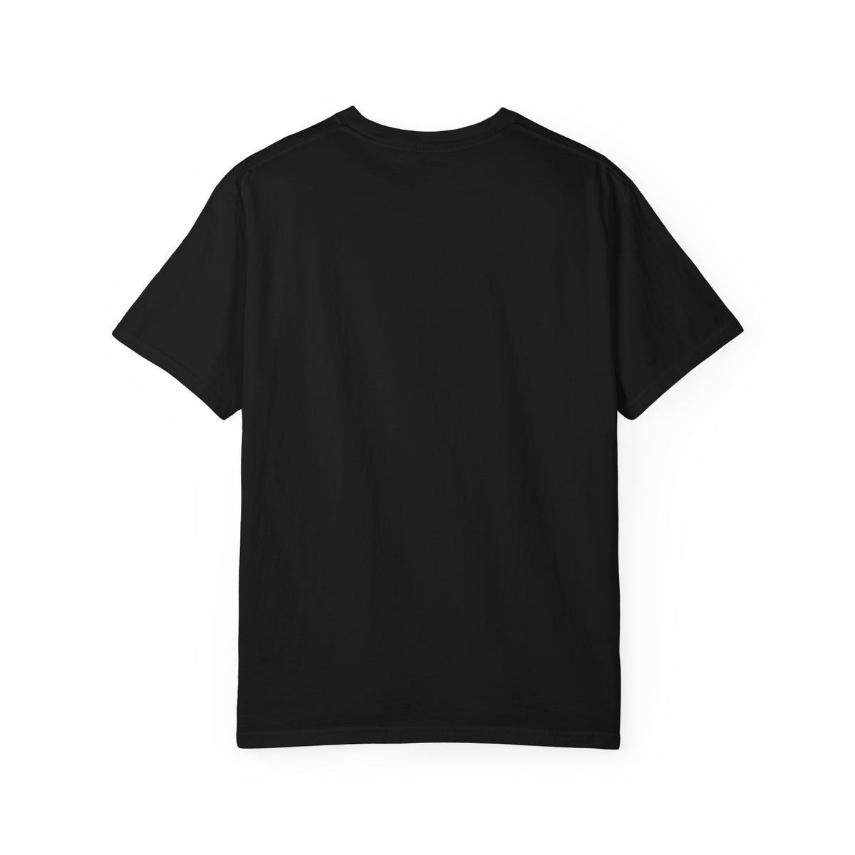 T‑Shirt — Caution: May Stop Mid‑Conversation For Birds (Birdwatching Humor)