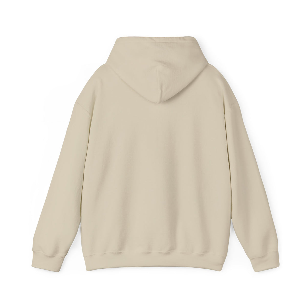 I Used To Be Cool Now I Know Bird Calls Hoodie