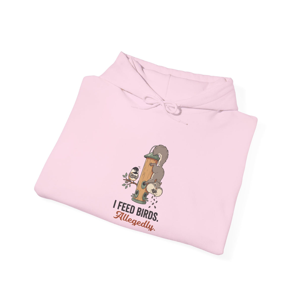 Hoodie — I Feed Birds. Allegedly. Cute Squirrel & Bird Graphic Pullover