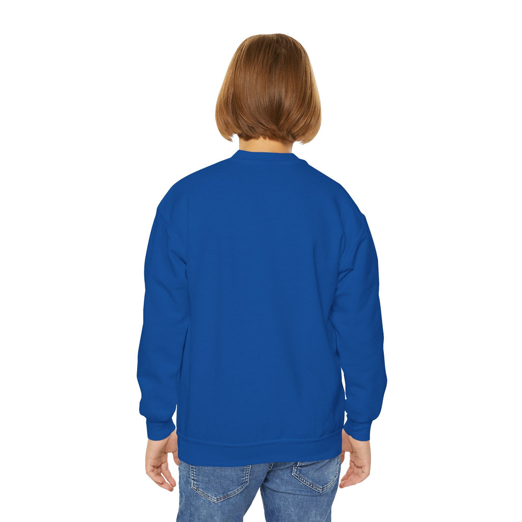 Youth Sweatshirt — "I Pause Conversations for Birds" Cute Cardinal Crewneck