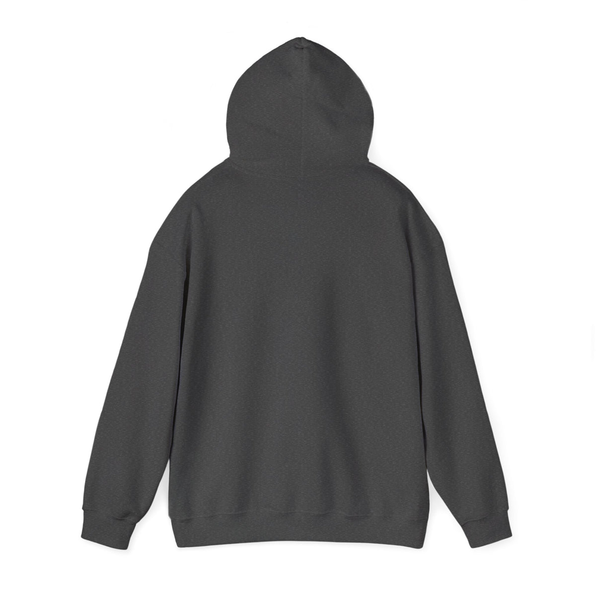 Caution: May Stop Mid-Conversation for Birds Hoodie — Funny Birding Road Sign Pullover