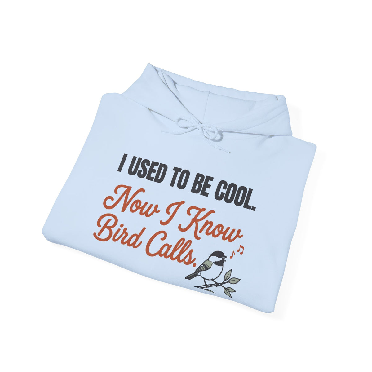 I Used To Be Cool Now I Know Bird Calls Hoodie
