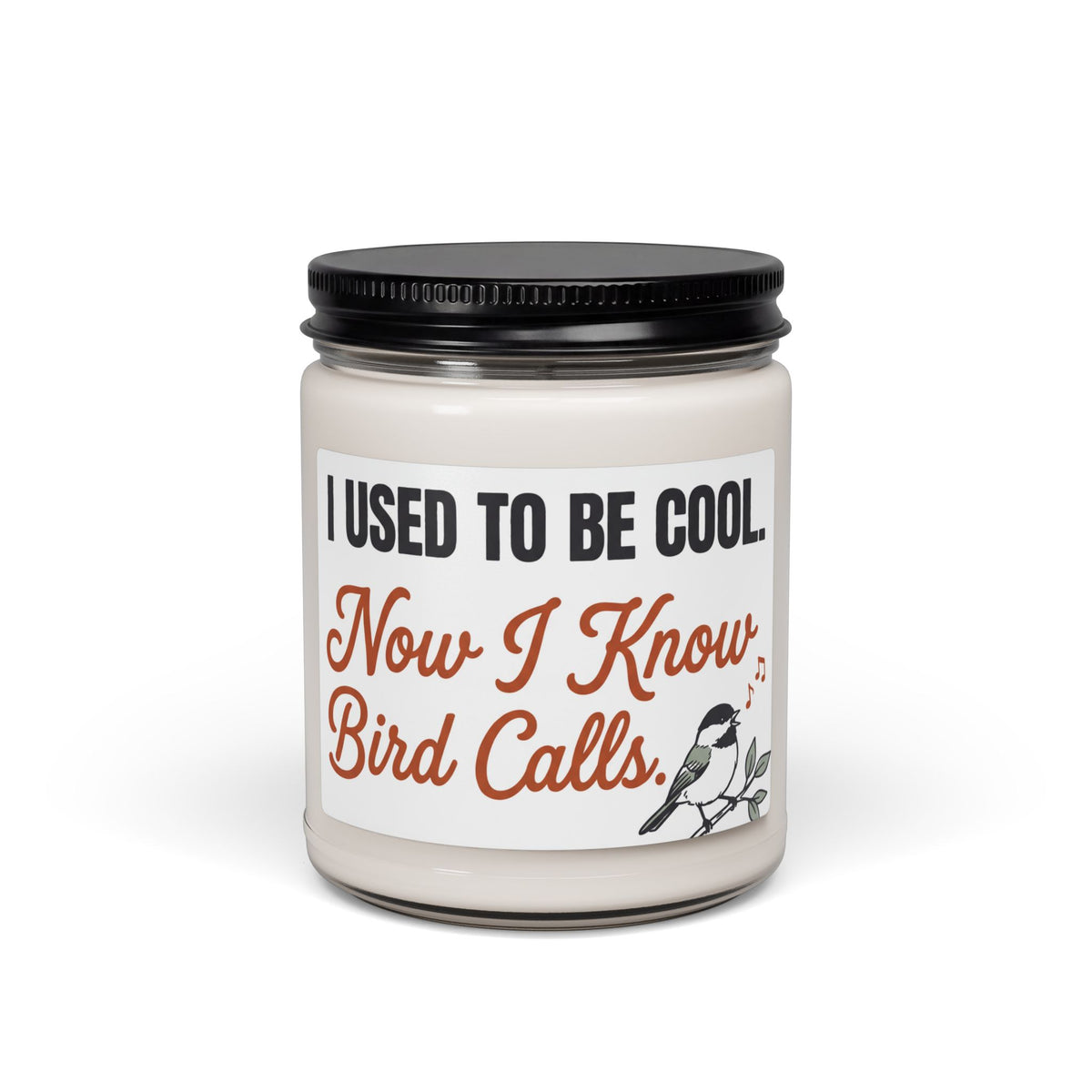 Soy Candle — "I Used to Be Cool, Now I Know Bird Calls" (9 oz)