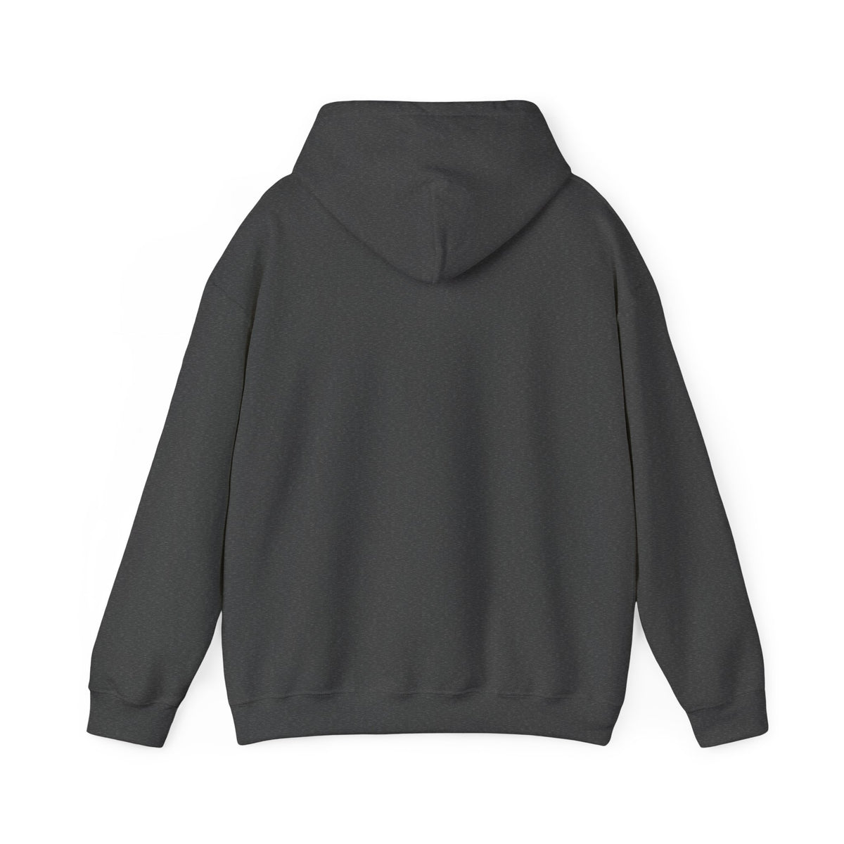 Caution: May Stop Mid-Conversation for Birds Hoodie — Funny Birding Road Sign Pullover