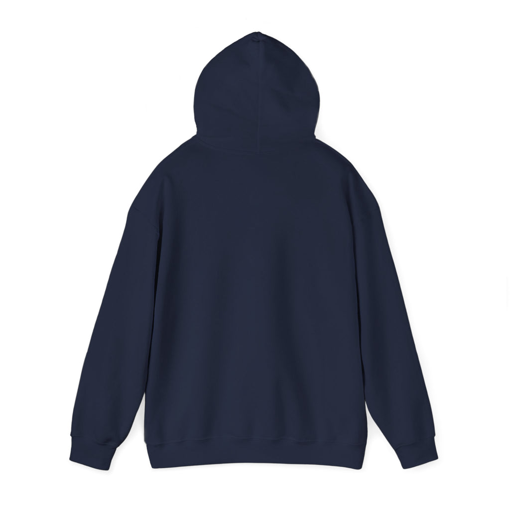 Caution: May Stop Mid-Conversation for Birds Hoodie — Funny Birding Road Sign Pullover