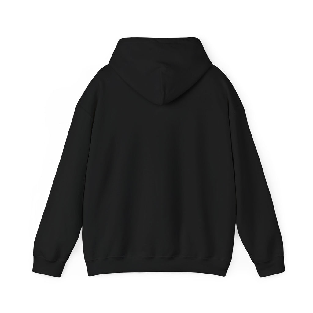 Caution: May Stop Mid-Conversation for Birds Hoodie — Funny Birding Road Sign Pullover