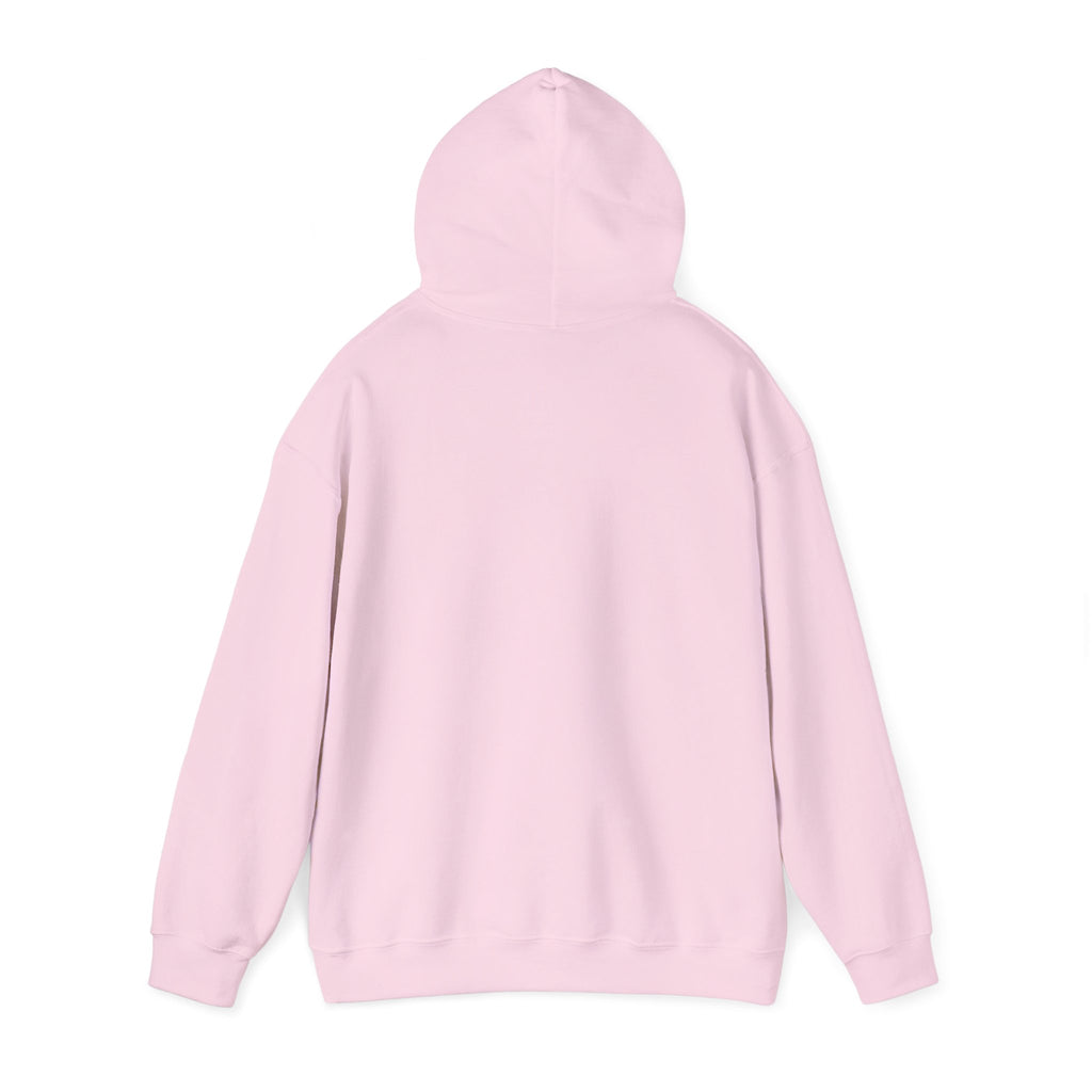 I Used To Be Cool Now I Know Bird Calls Hoodie