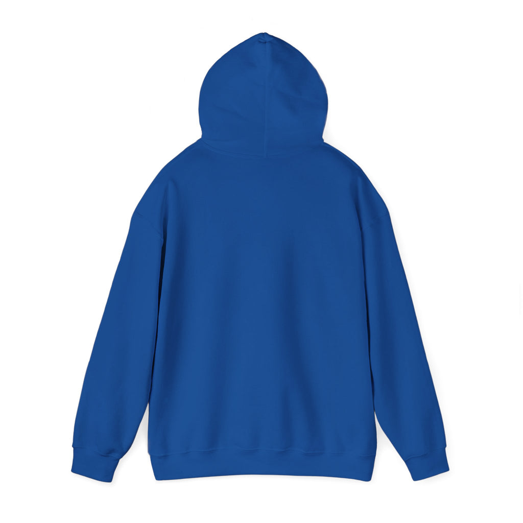 Caution: May Stop Mid-Conversation for Birds Hoodie — Funny Birding Road Sign Pullover