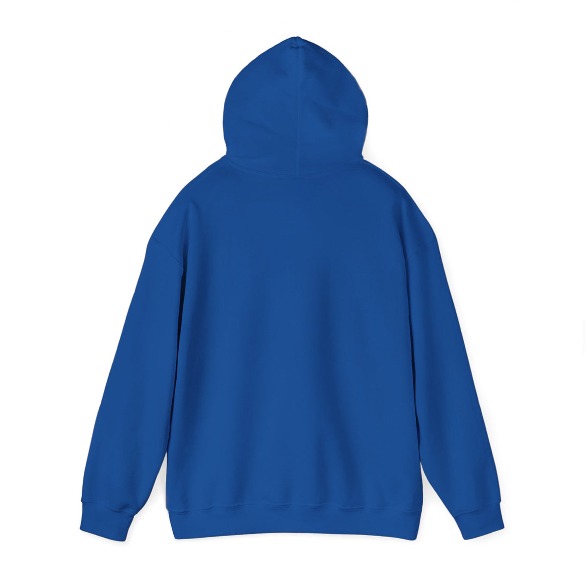 Caution: May Stop Mid-Conversation for Birds Hoodie — Funny Birding Road Sign Pullover