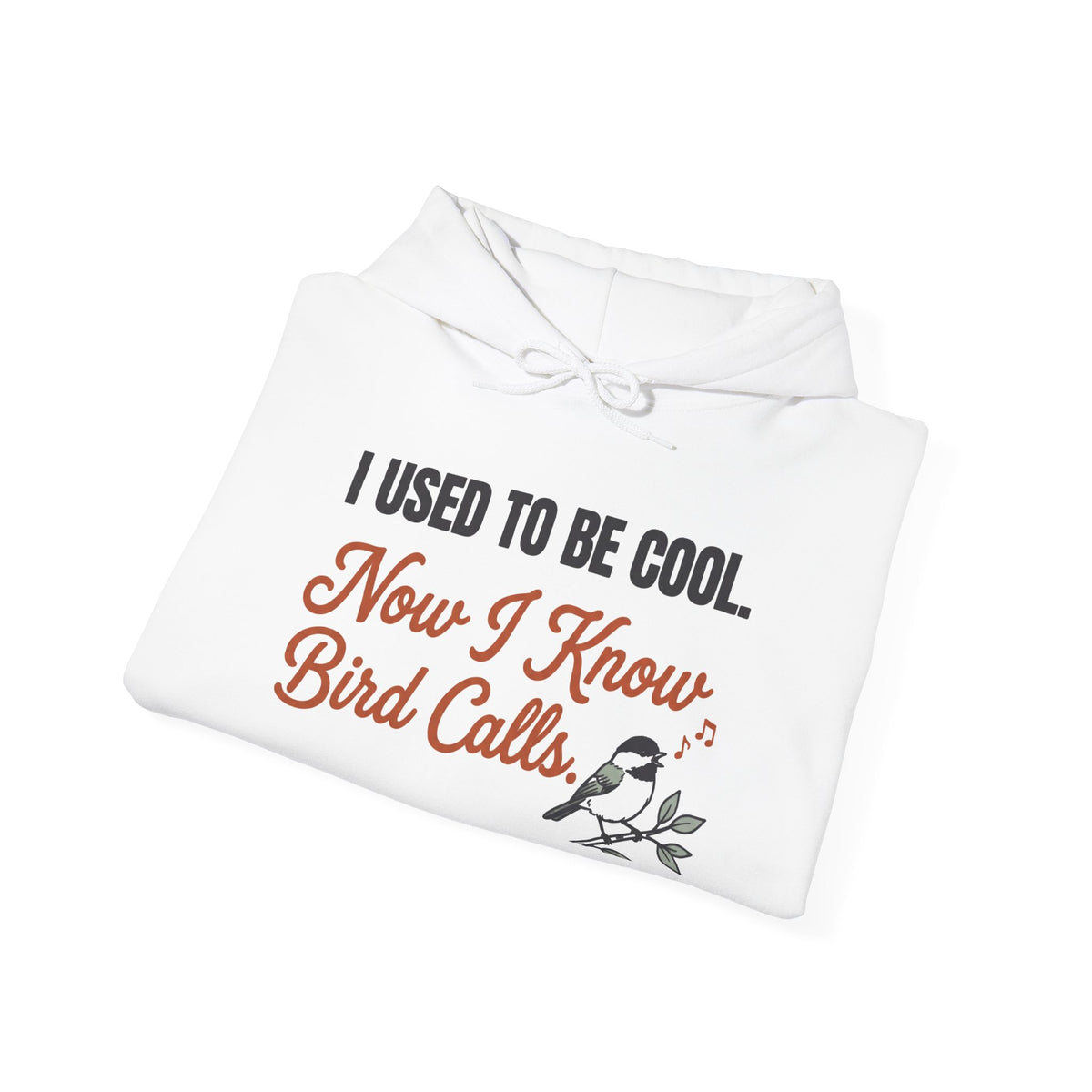 I Used To Be Cool Now I Know Bird Calls Hoodie