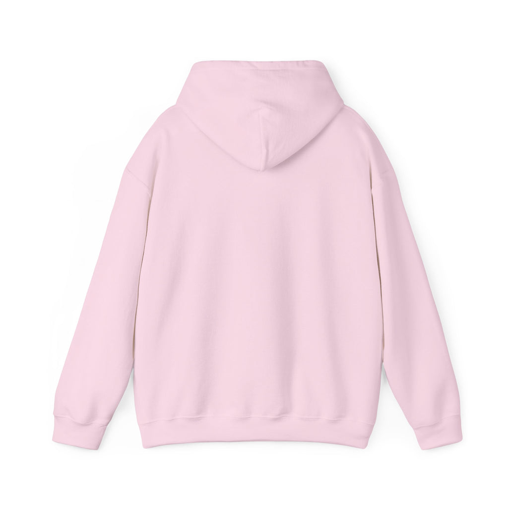 I Used To Be Cool Now I Know Bird Calls Hoodie
