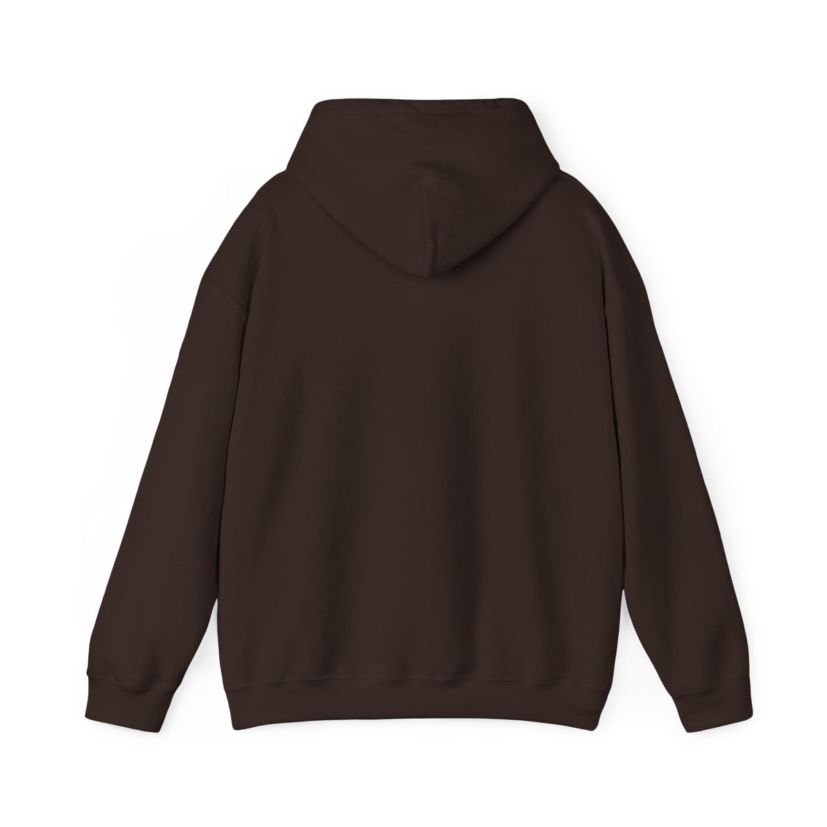 Caution: May Stop Mid-Conversation for Birds Hoodie — Funny Birding Road Sign Pullover