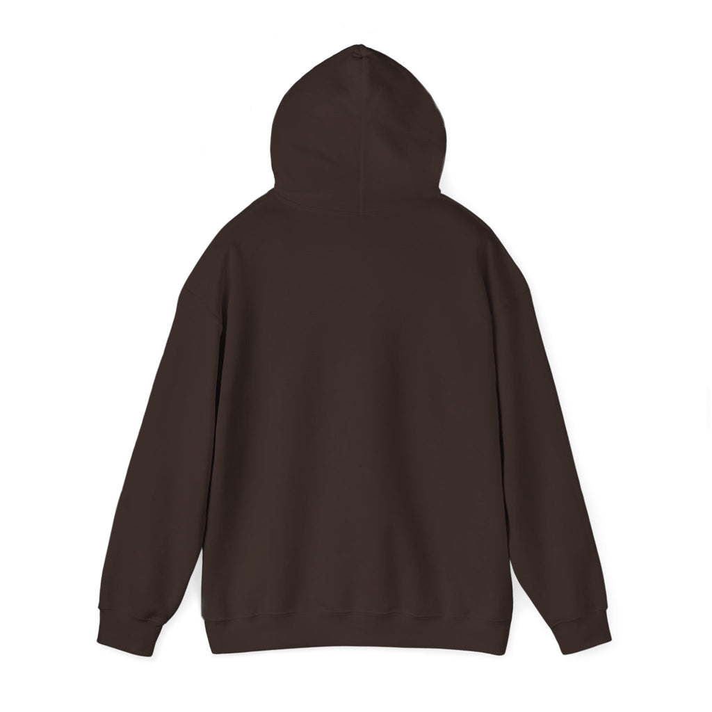 Caution: May Stop Mid-Conversation for Birds Hoodie — Funny Birding Road Sign Pullover