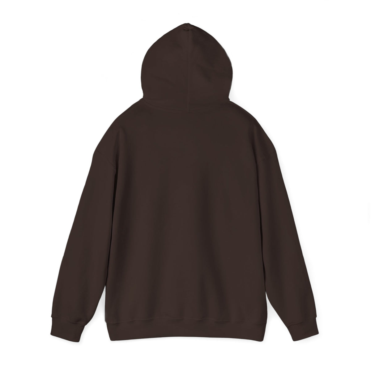 Caution: May Stop Mid-Conversation for Birds Hoodie — Funny Birding Road Sign Pullover