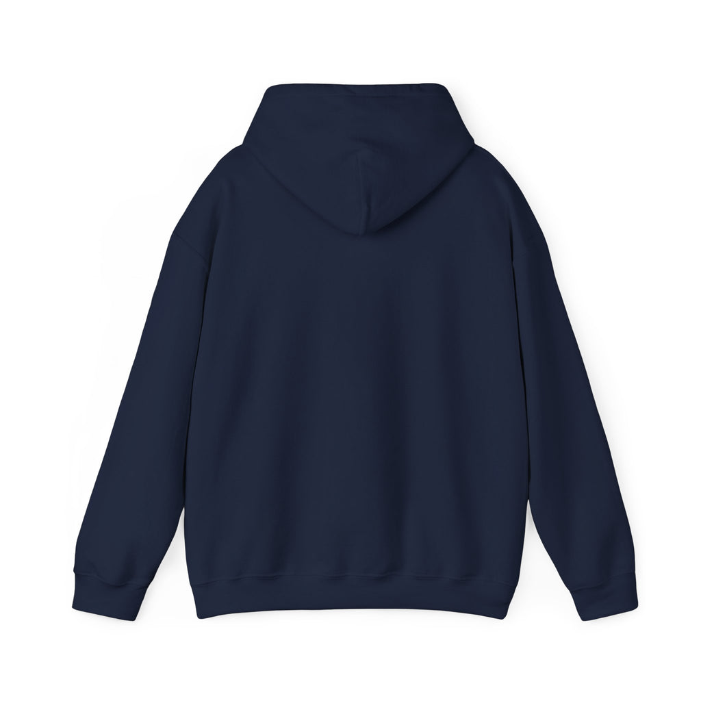 Caution: May Stop Mid-Conversation for Birds Hoodie — Funny Birding Road Sign Pullover