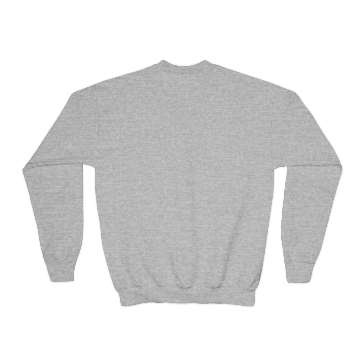 Kids crewneck sweatshirt with 'I Used to Be Cool. Now I Know Bird Calls.' birding design
