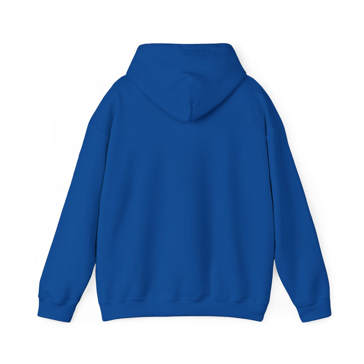 Caution: May Stop Mid-Conversation for Birds Hoodie — Funny Birding Road Sign Pullover