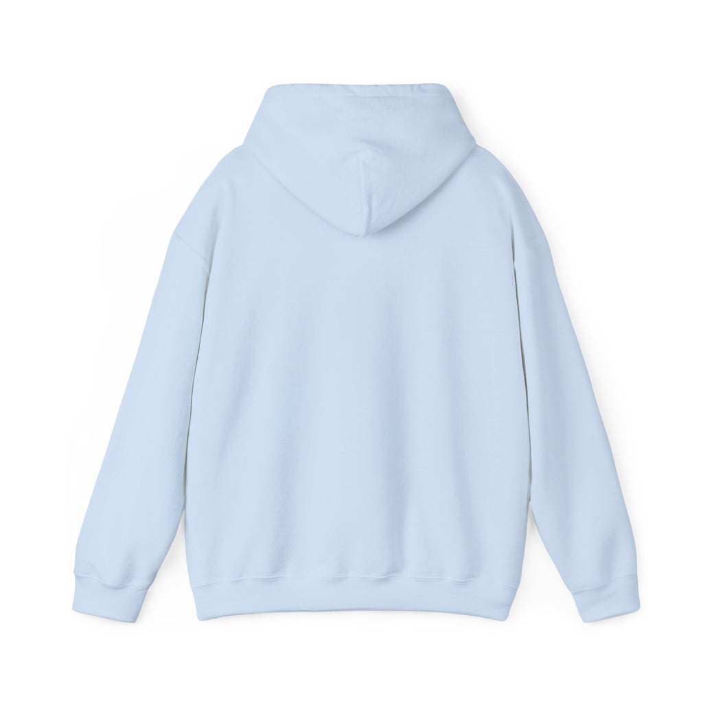 Caution: May Stop Mid-Conversation for Birds Hoodie — Funny Birding Road Sign Pullover