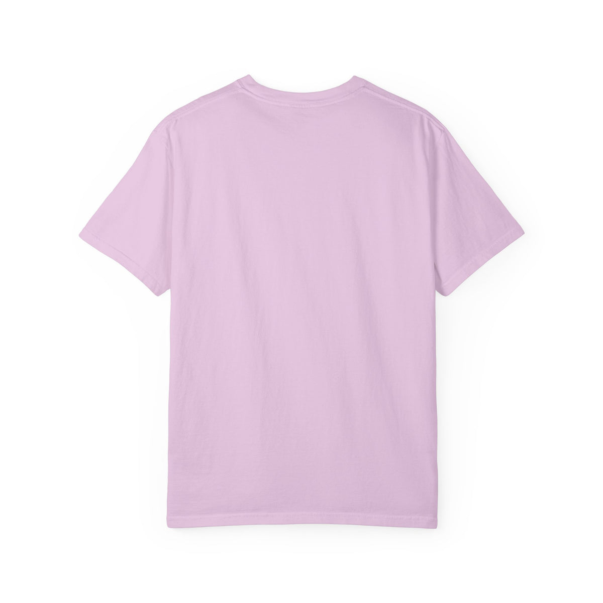T‑Shirt — Caution: May Stop Mid‑Conversation For Birds (Birdwatching Humor)