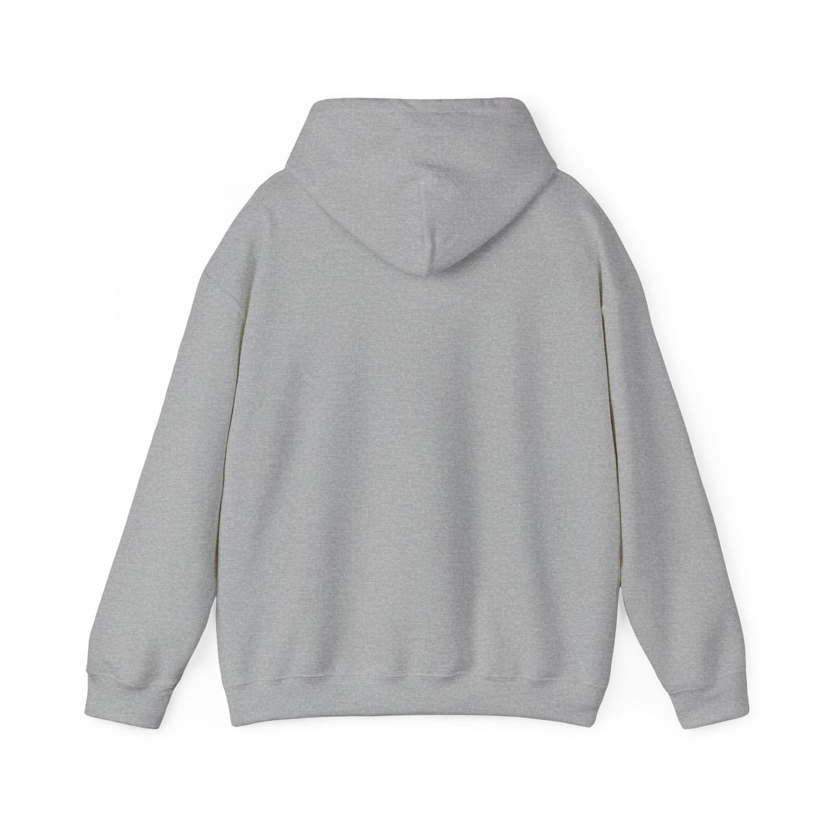 I Used To Be Cool Now I Know Bird Calls Hoodie