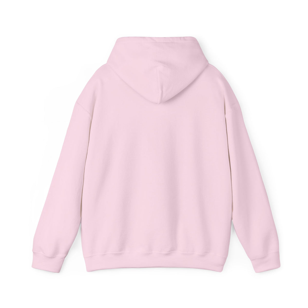 Hoodie — I Feed Birds. Allegedly. Cute Squirrel & Bird Graphic Pullover