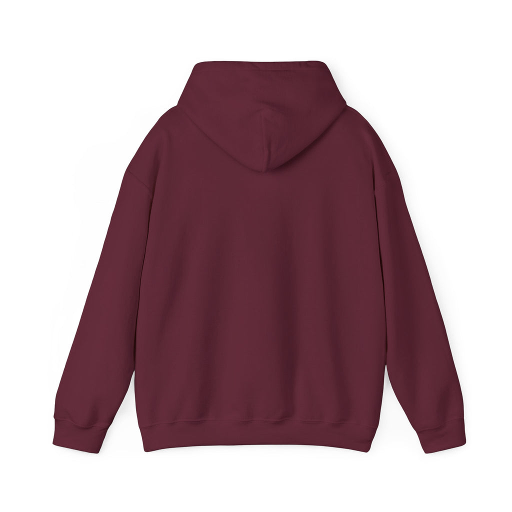Caution: May Stop Mid-Conversation for Birds Hoodie — Funny Birding Road Sign Pullover