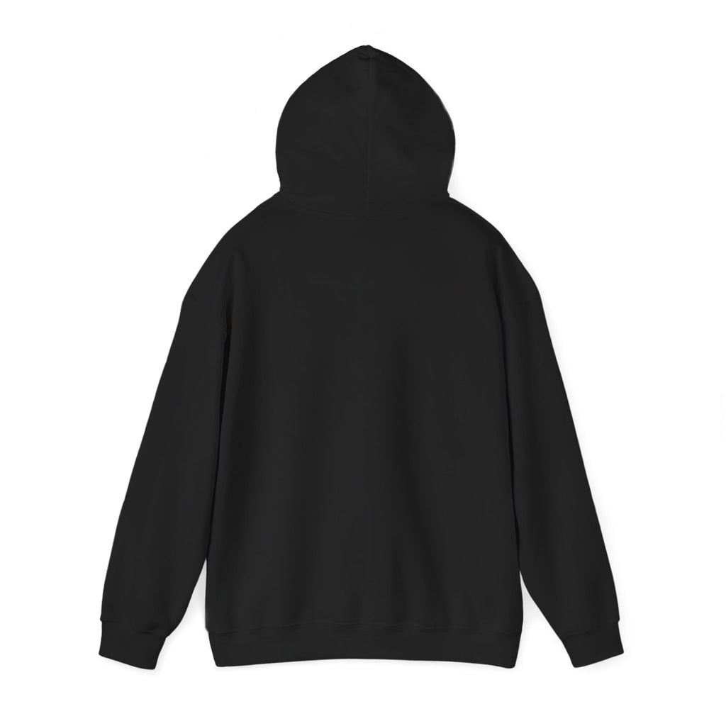 Caution: May Stop Mid-Conversation for Birds Hoodie — Funny Birding Road Sign Pullover