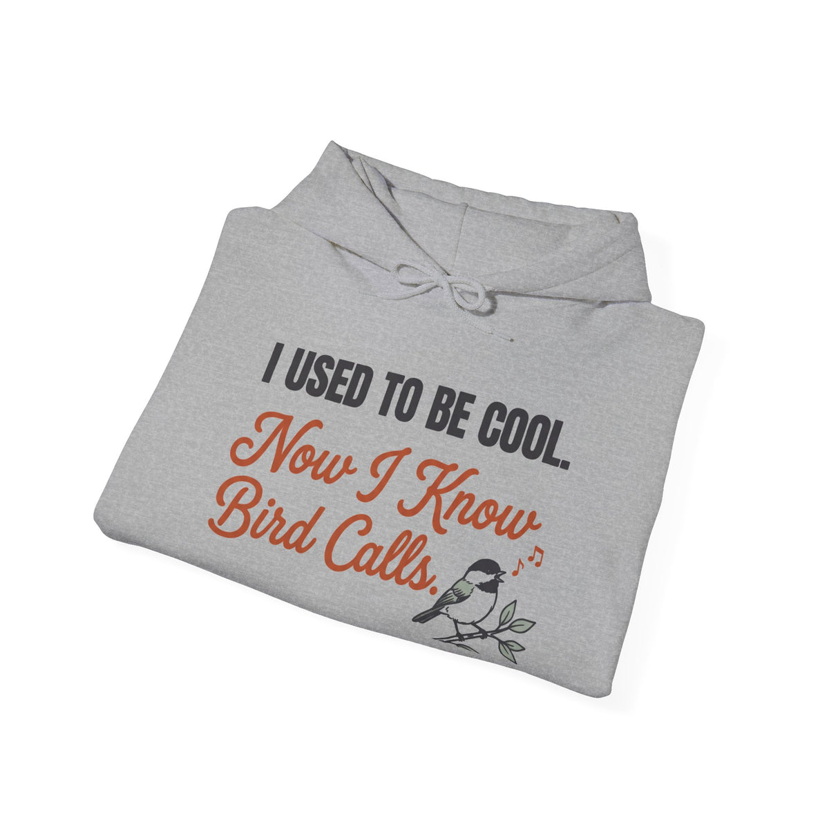 I Used To Be Cool Now I Know Bird Calls Hoodie