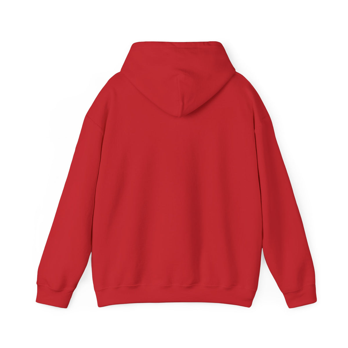 Caution: May Stop Mid-Conversation for Birds Hoodie — Funny Birding Road Sign Pullover