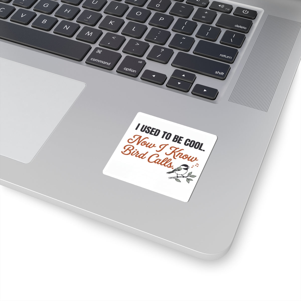 Kiss-Cut Sticker — “I Used to Be Cool. Now I Know Bird Calls.” Funny Birdwatching Decal