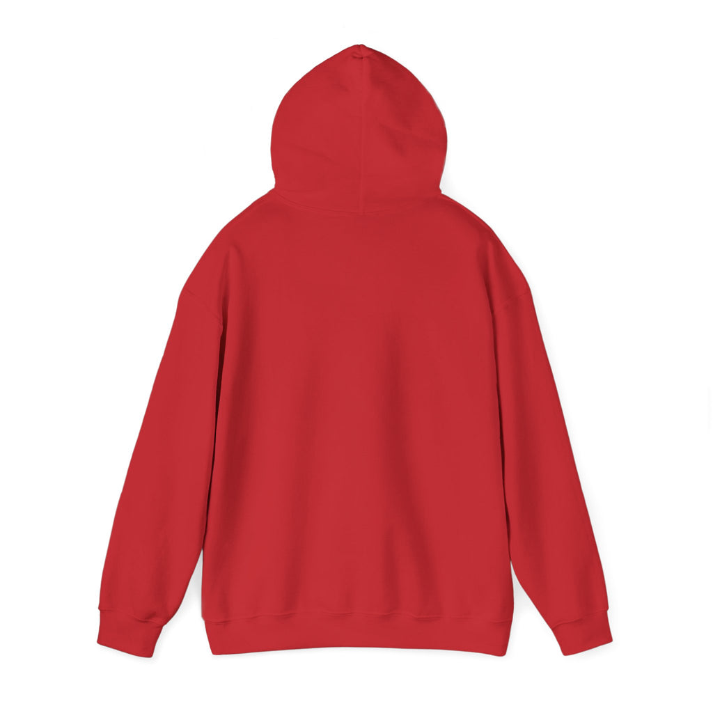 Caution: May Stop Mid-Conversation for Birds Hoodie — Funny Birding Road Sign Pullover