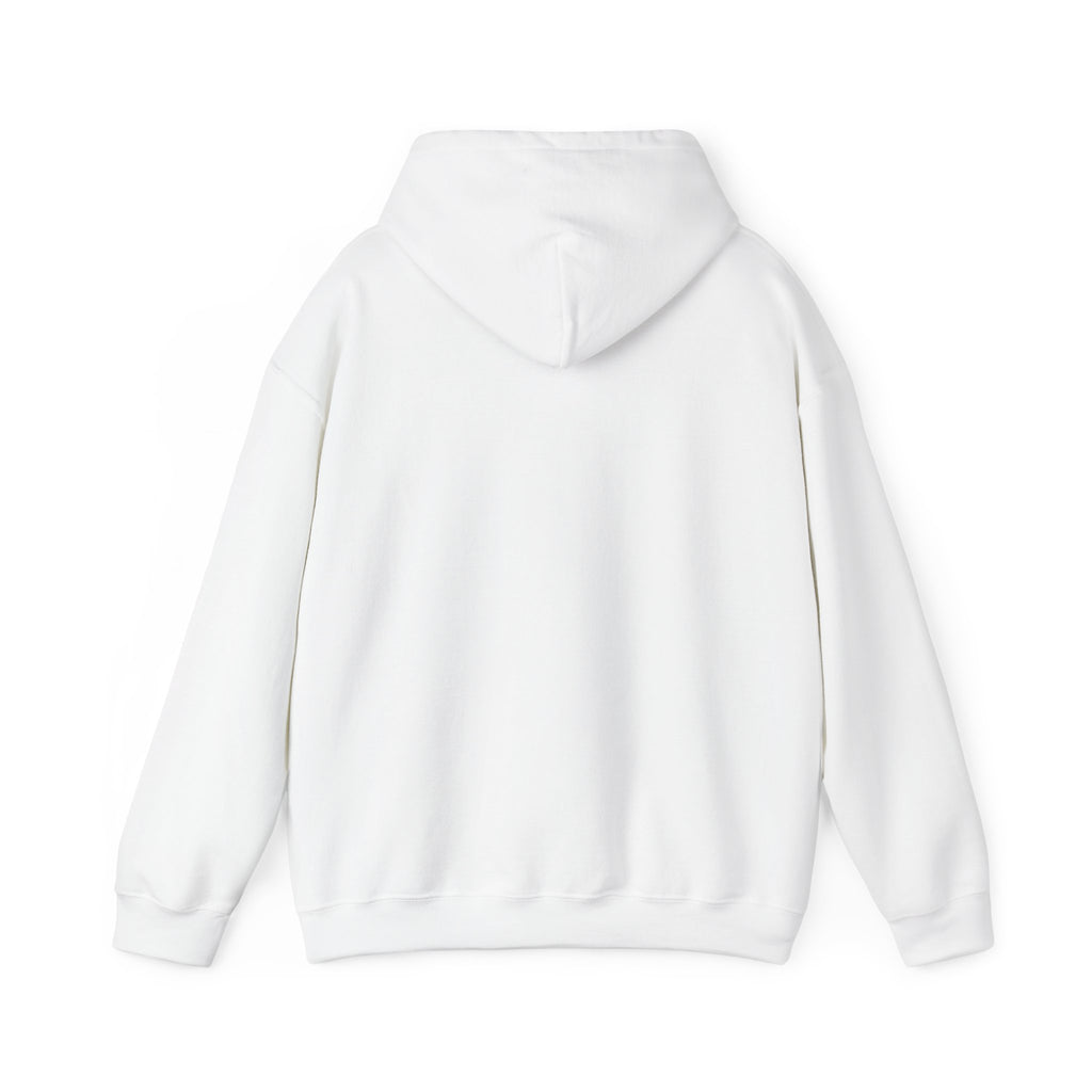 Hoodie — I Feed Birds. Allegedly. Cute Squirrel & Bird Graphic Pullover
