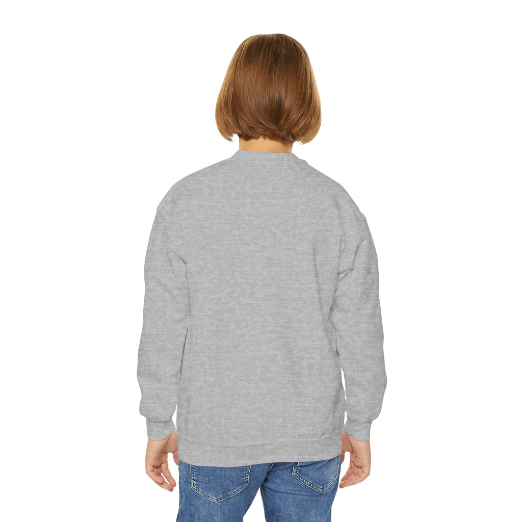 Youth Sweatshirt — "I Pause Conversations for Birds" Cute Cardinal Crewneck
