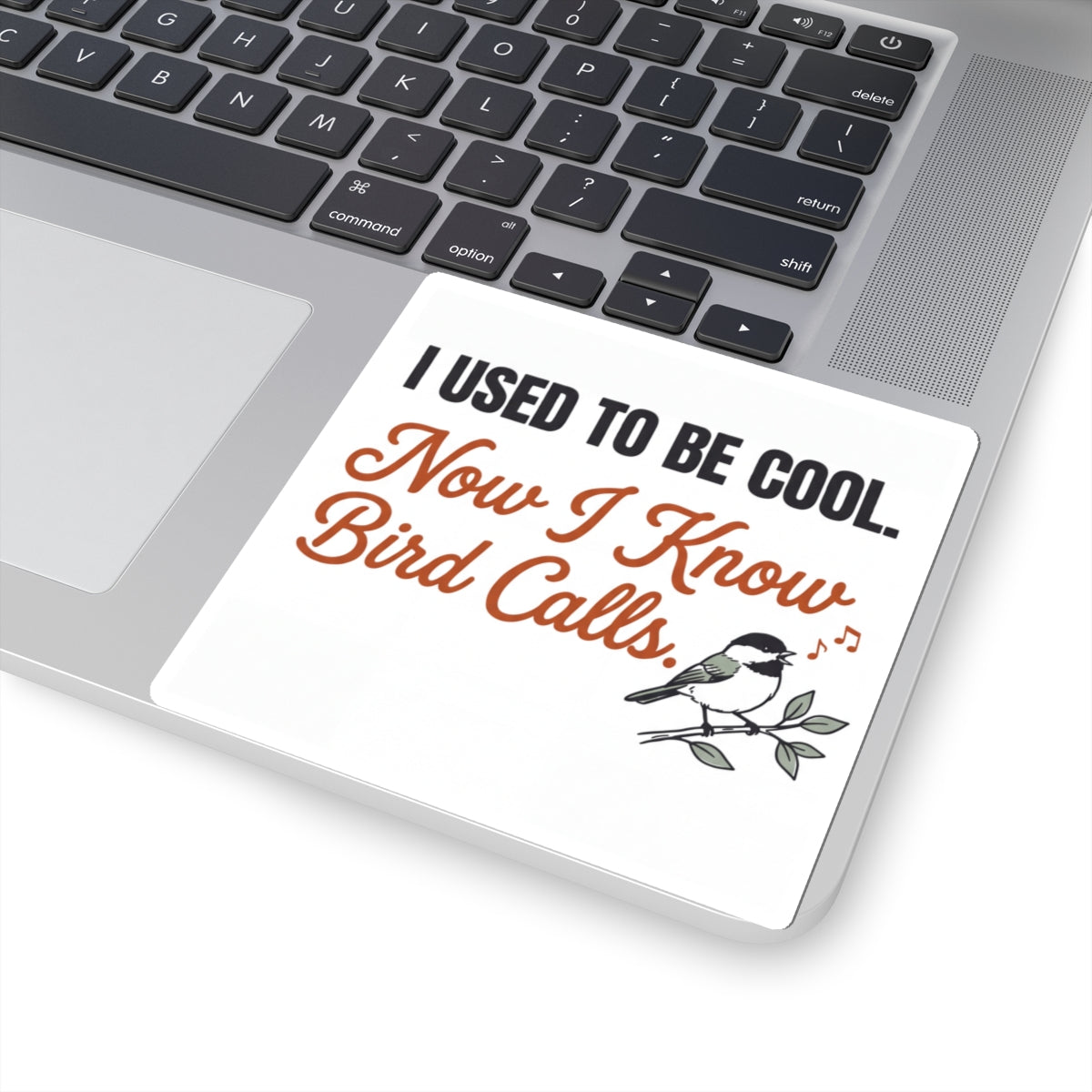 Kiss-Cut Sticker — “I Used to Be Cool. Now I Know Bird Calls.” Funny Birdwatching Decal