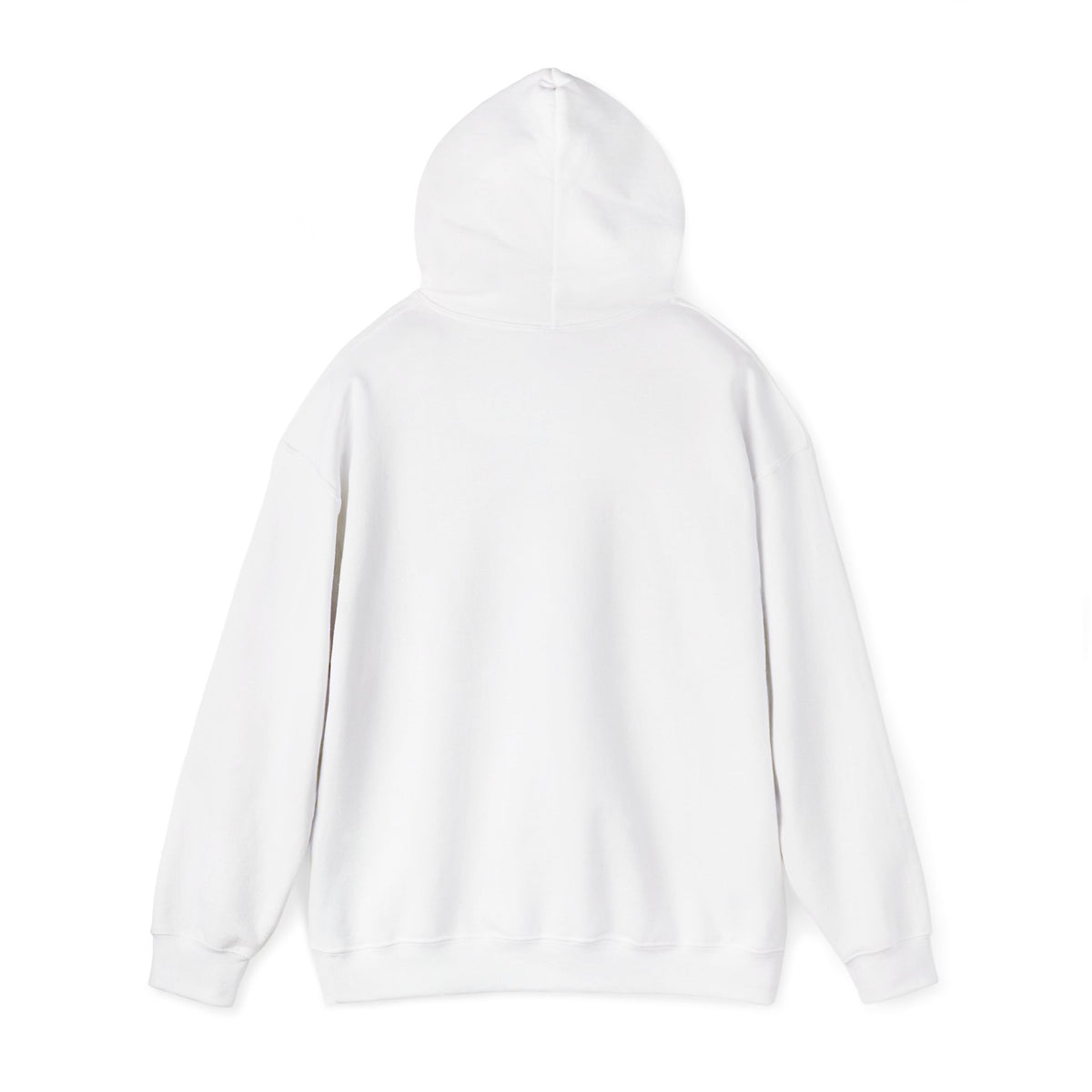 I Used To Be Cool Now I Know Bird Calls Hoodie