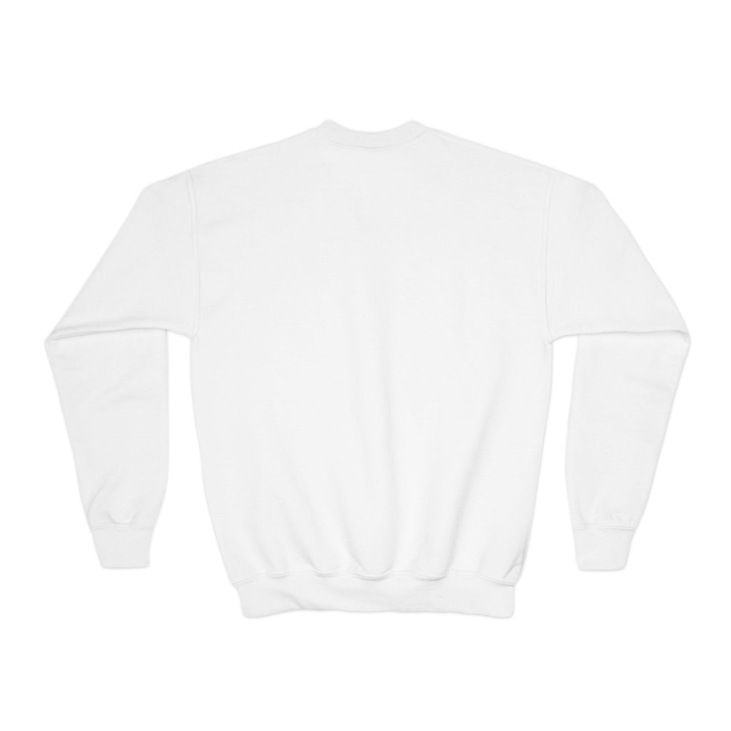 Youth Sweatshirt — "I Pause Conversations for Birds" Cute Cardinal Crewneck