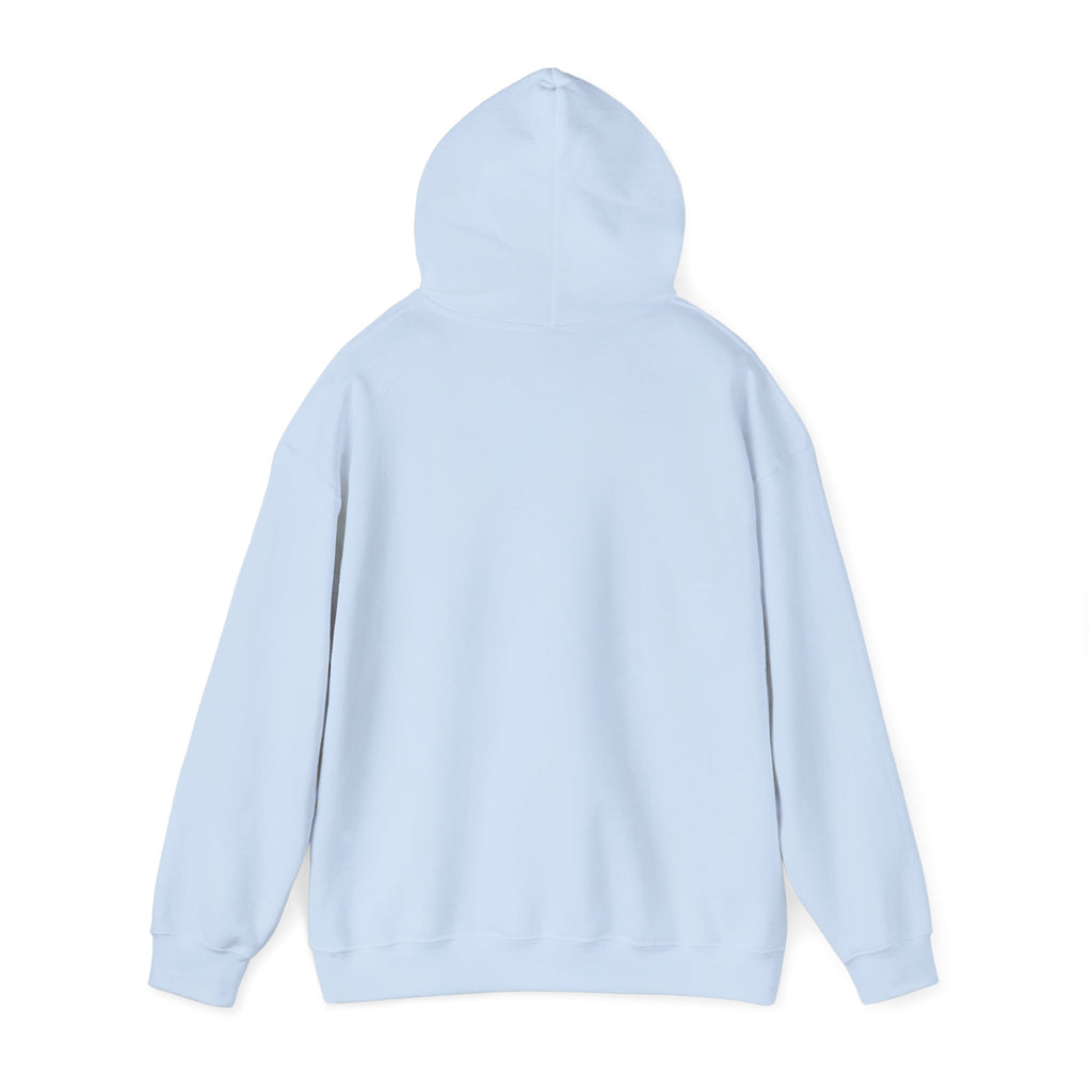 I Used To Be Cool Now I Know Bird Calls Hoodie